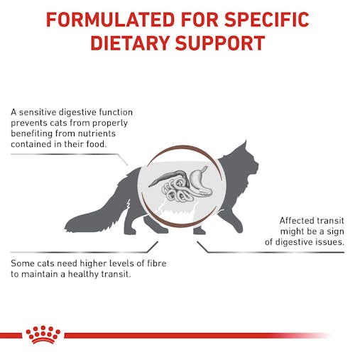 Gastrointestinal Fibre Response Thin Slices In Gravy