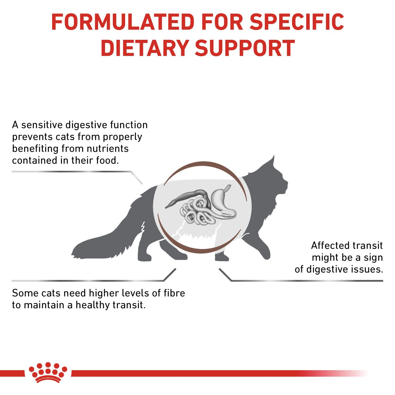 GASTROINTESTINAL FIBRE RESPONSE Stückchen in Soße