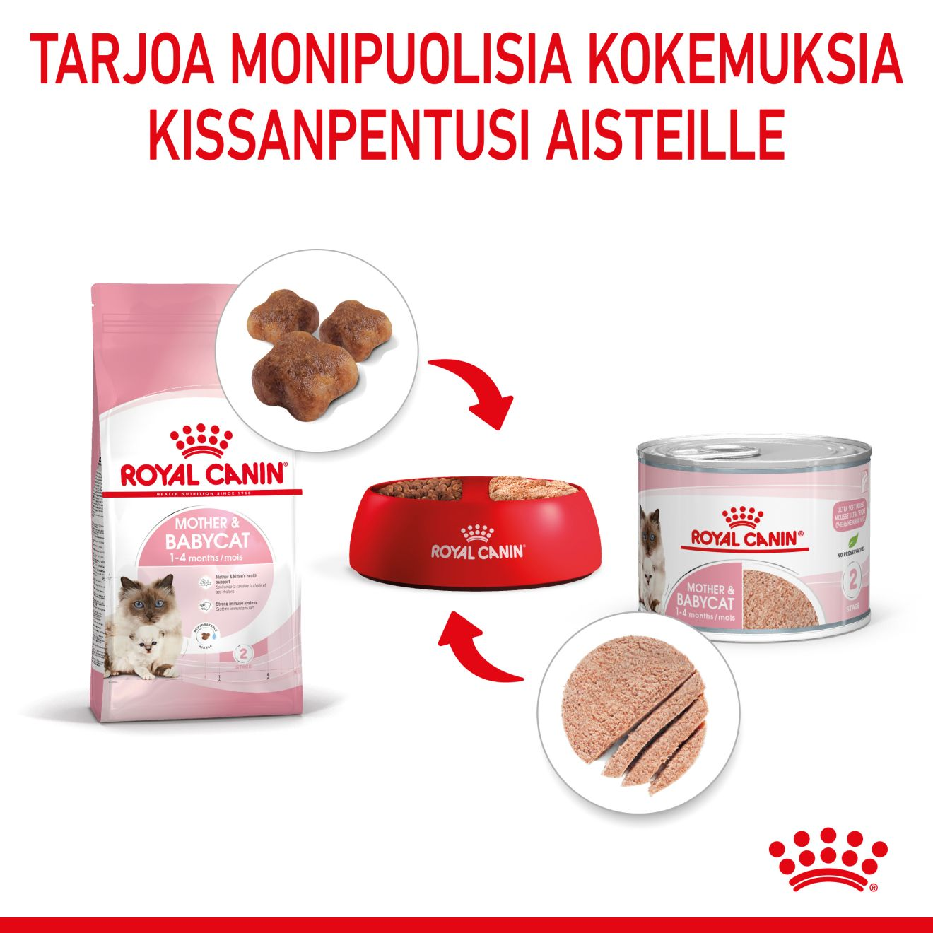 Mother & Babycat Mousse