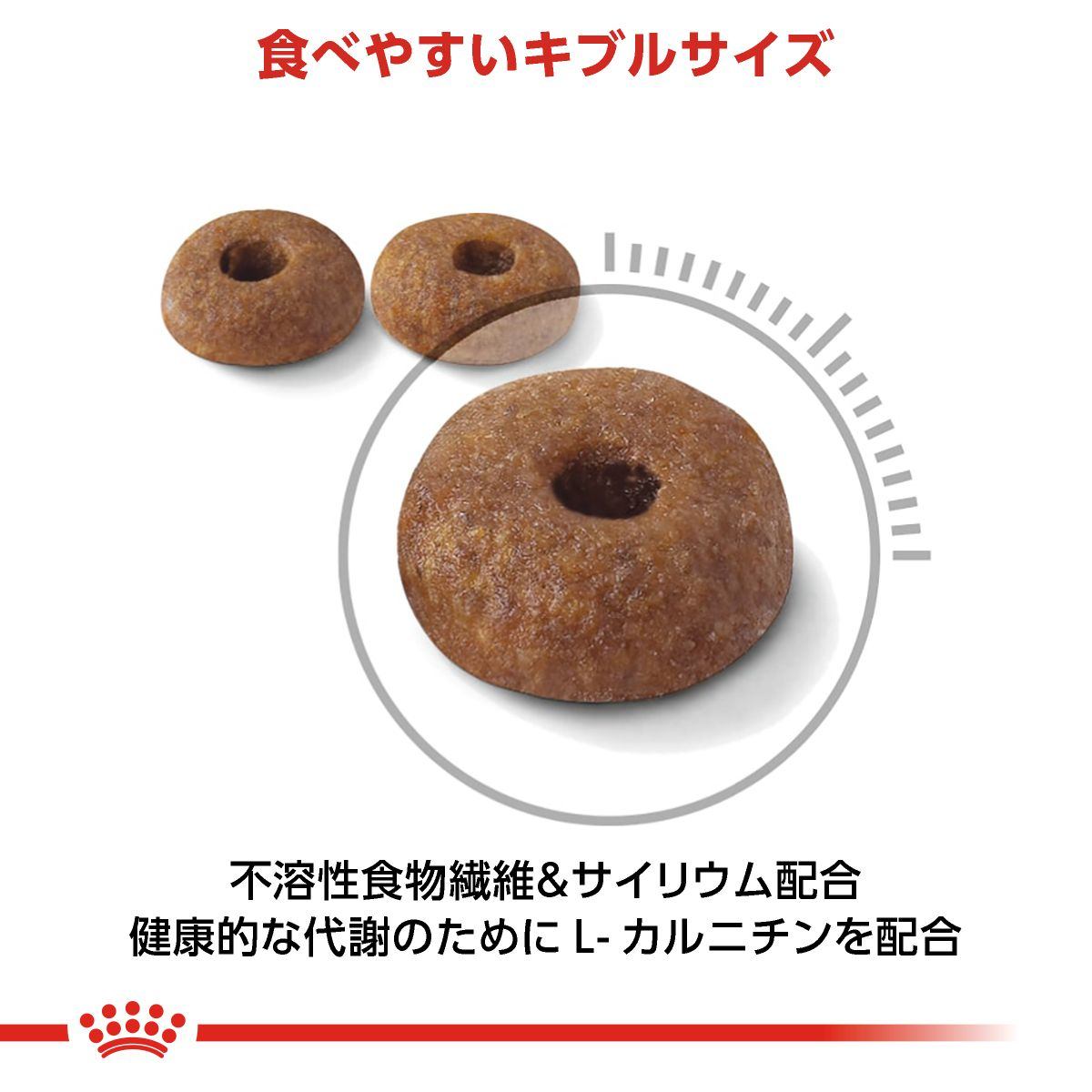 CANIN ライト ウェイトケア 8kg 楽天市場】【抽選で最大100%ポイントバック！】 【賞味期限:2026