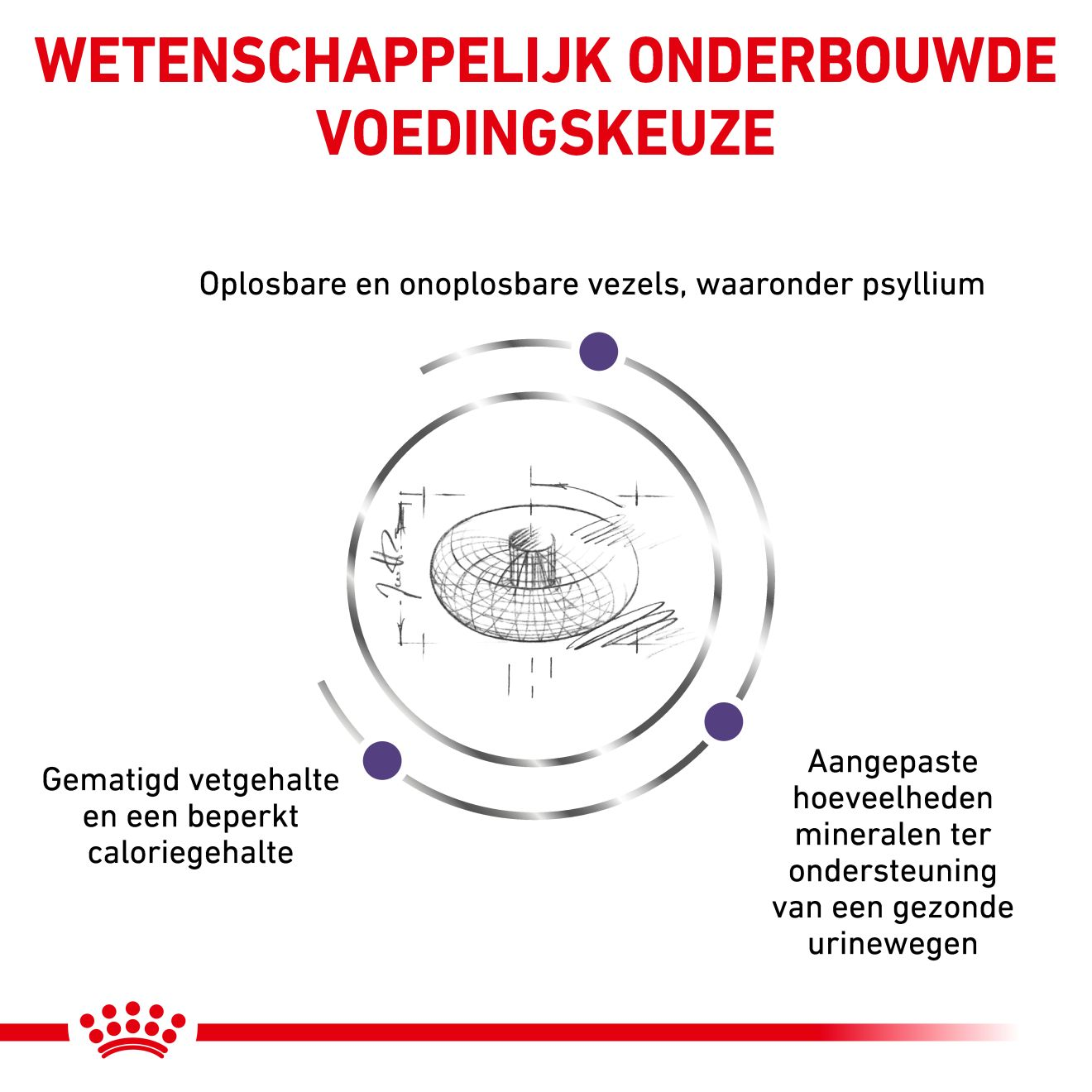 Neutered Adult Small Dogs