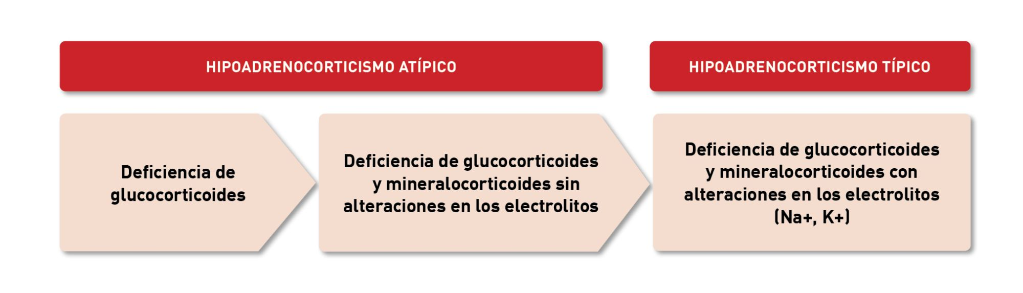 Clasificación actual del hipoadrenocorticismo espontáneo en perros
