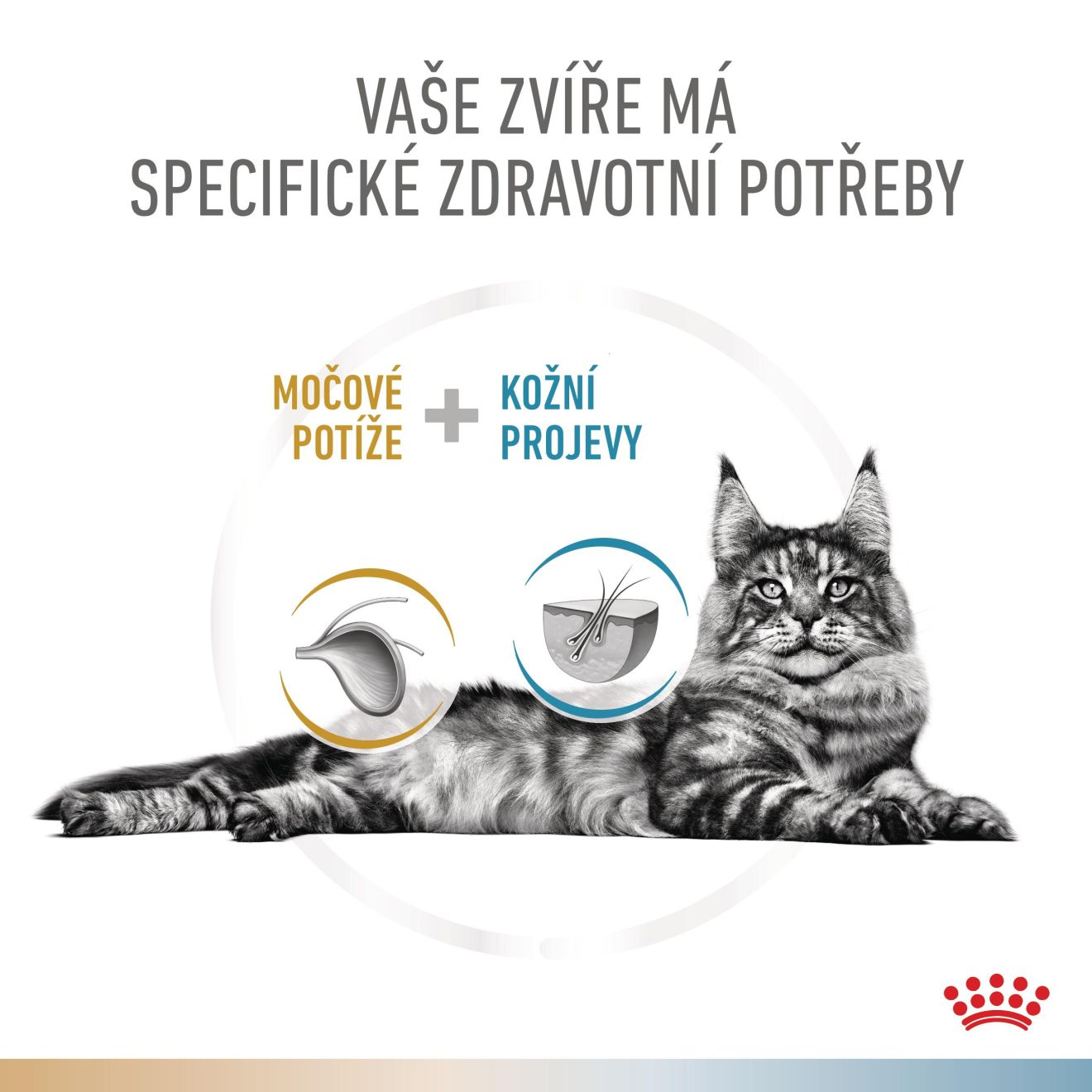 VHN Cat CA Urinary S/O-Hypoallergenic