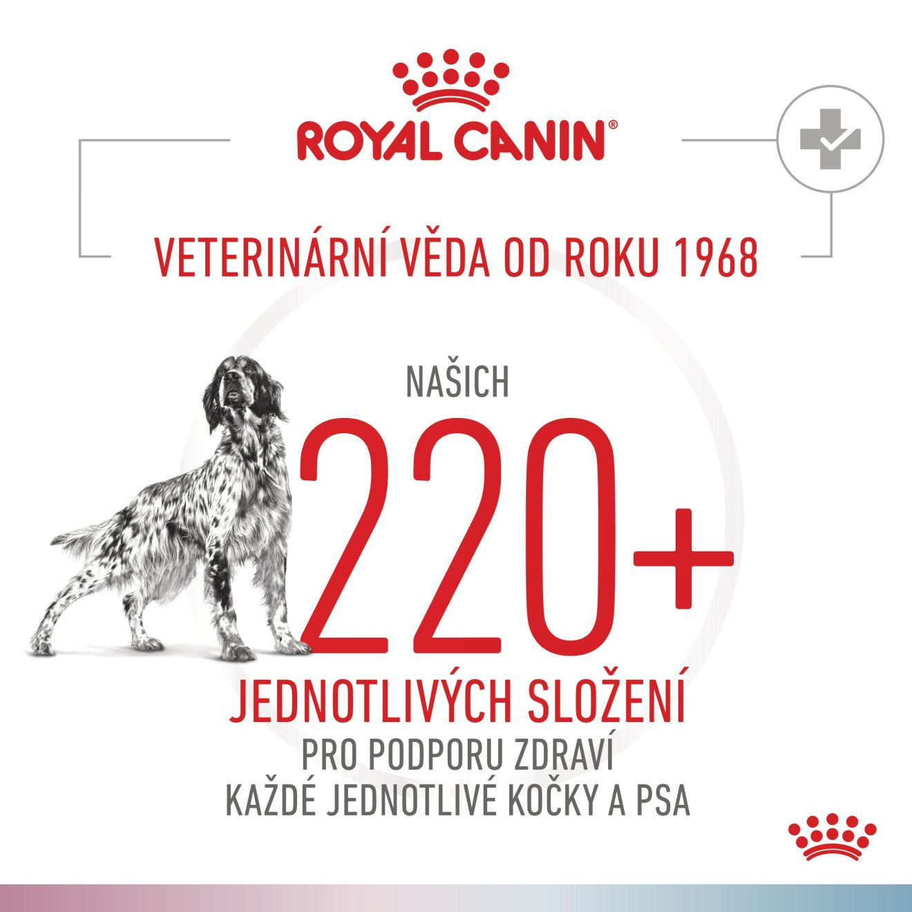 VHN Dog CA Renal-Hypoallergenic Small