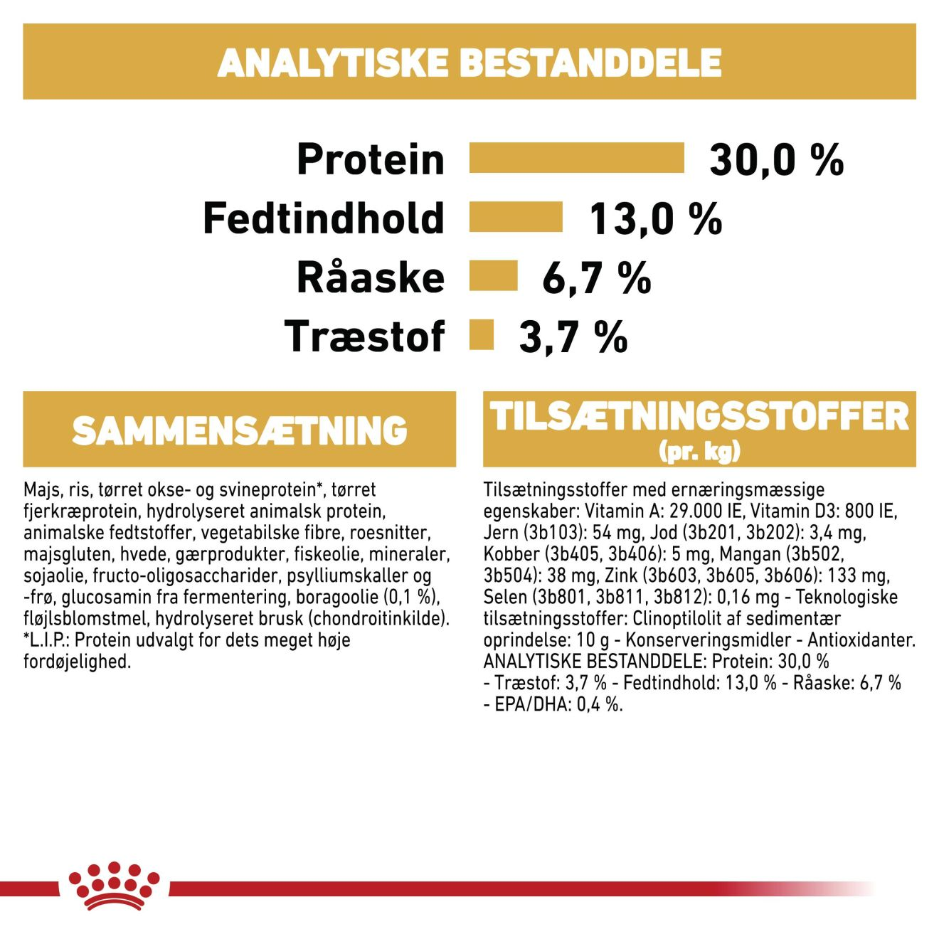 Labrador Retriever Adult