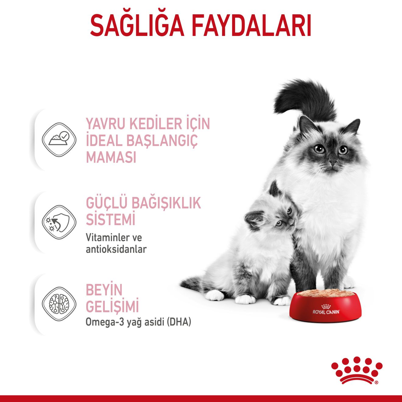 Mother And Babycat Ultra Soft Mousse Anne ve Yavru Kedi Yaş Maması