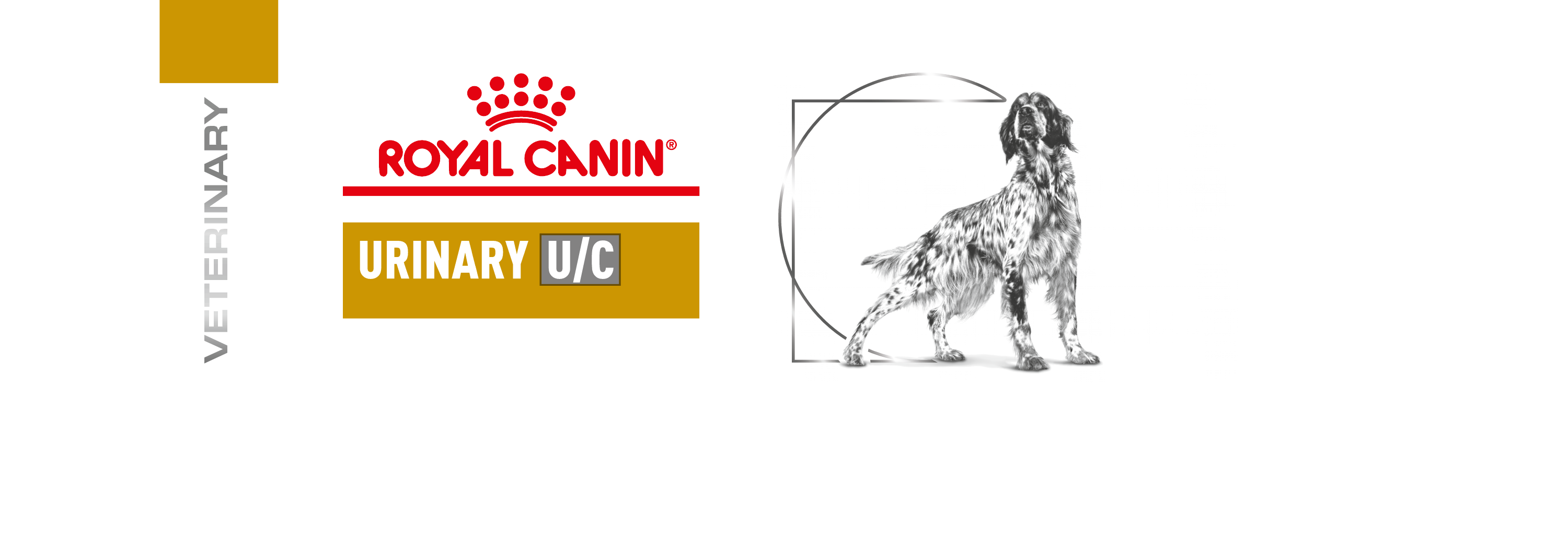 Urinary UC Royal Canin ZA