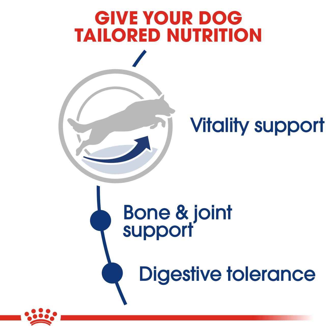  מקסי אדולט +5