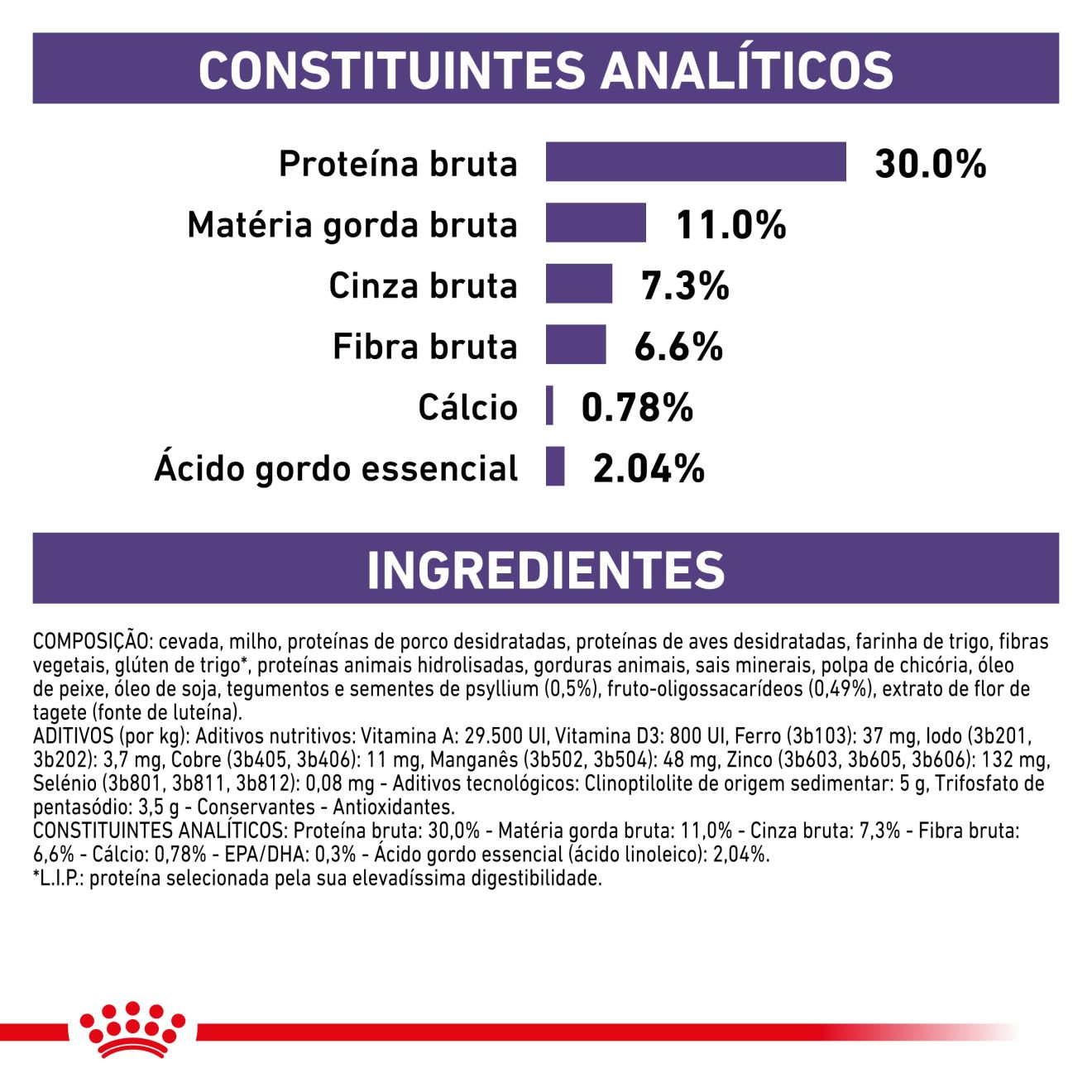 Neutered Adult Small Dog