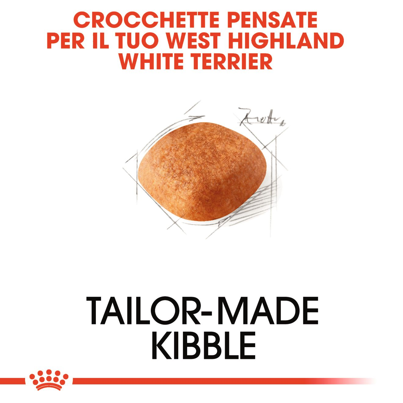 West Highland White Terrier Adult