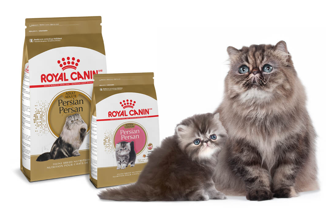 royal canin cat food types