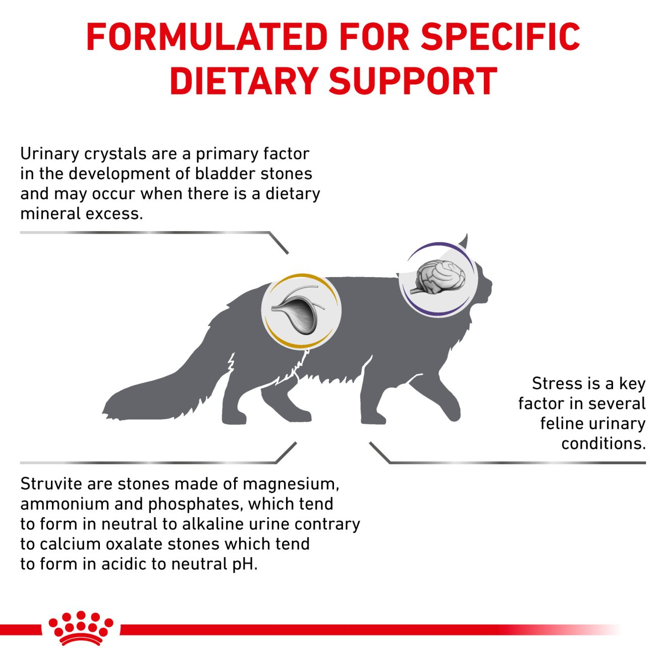 Feline Urinary SO® + Calm