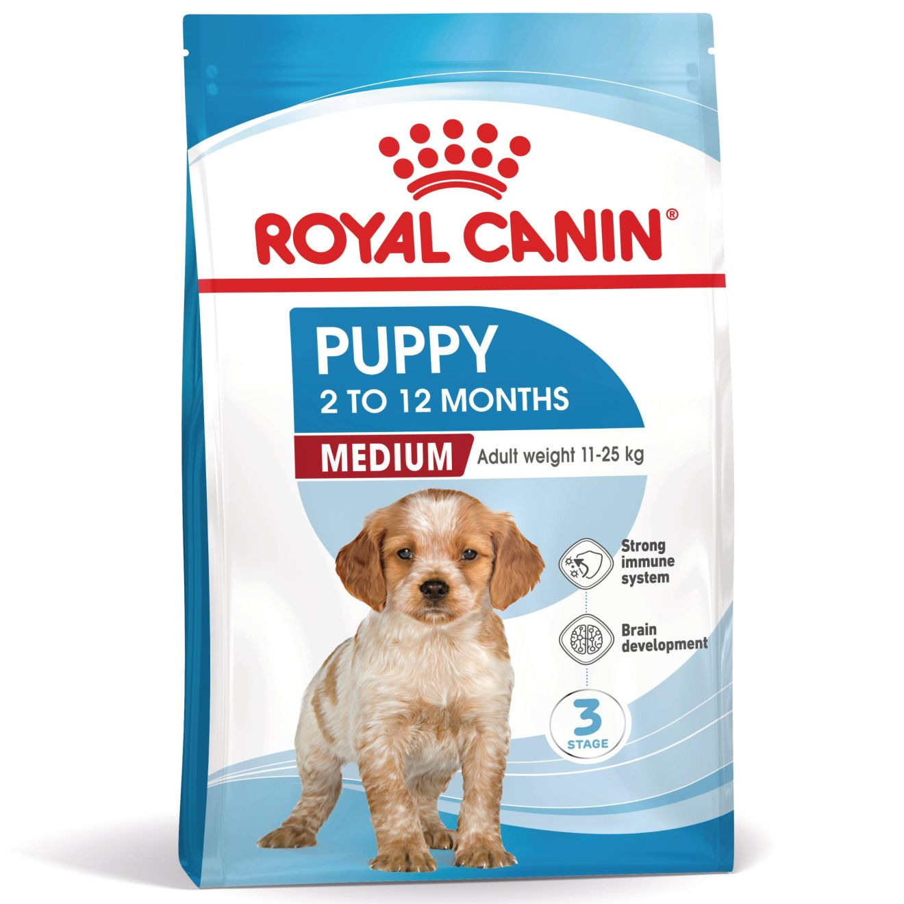 MEDIUM PUPPY 