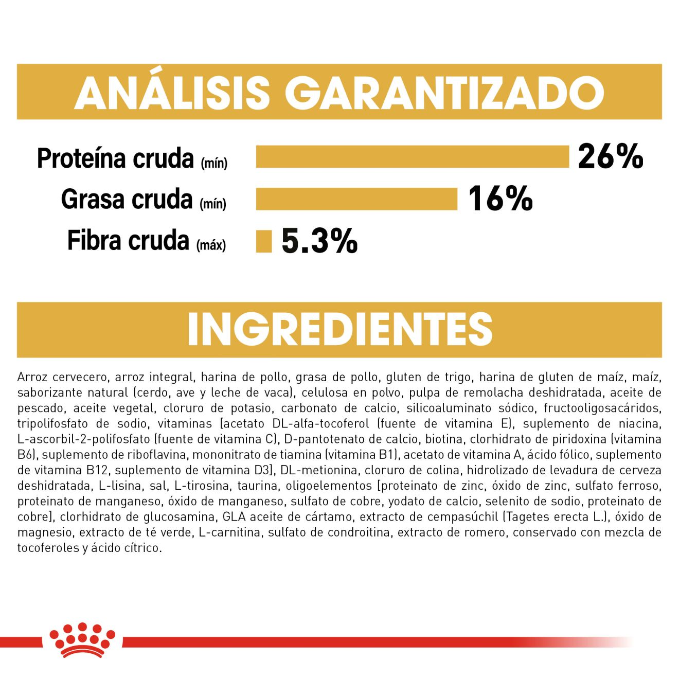 Yorkshire Terrier Adulto