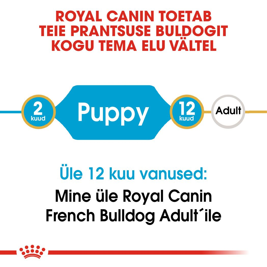 Royal Canin French Bulldog Puppy kuivtoit