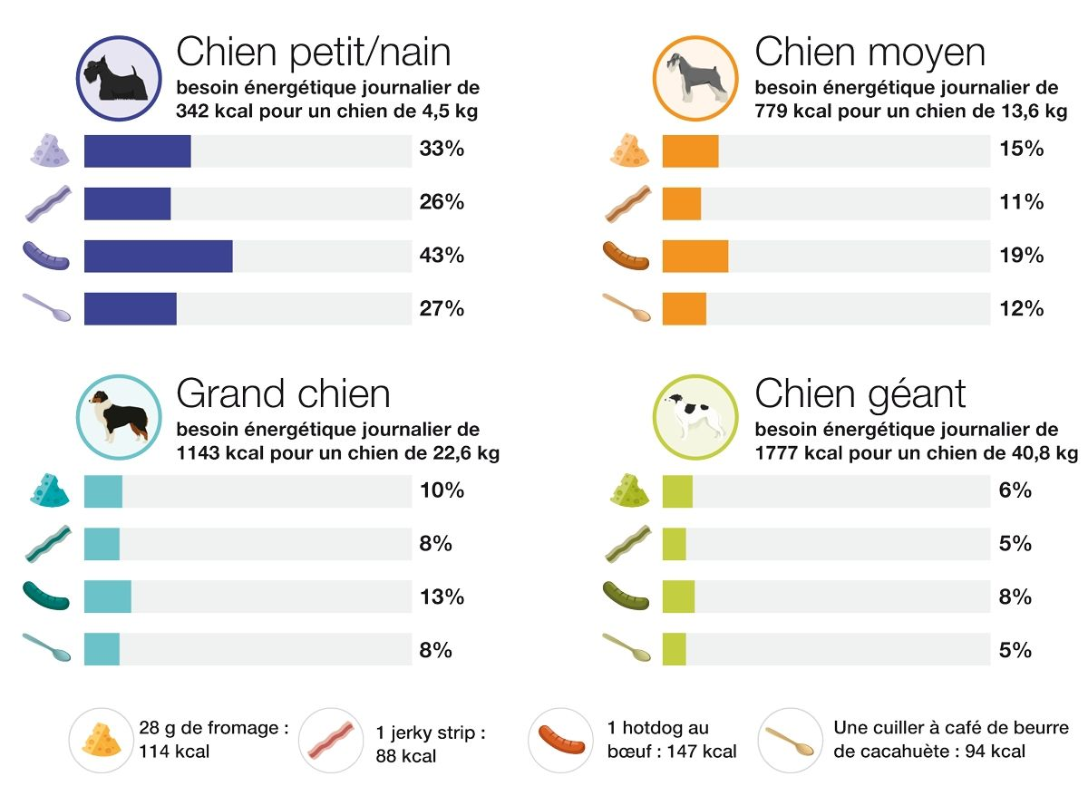 Si les chiens reçoivent souvent de la nourriture humaine en guise de friandise, les propriétaires ne réalisent pas forcément que, même en petite quantité, l’alimentation humaine peut représenter un pourcentage important des besoins énergétiques journaliers d’un animal. En règle générale, les friandises et aliments pour humains ne doivent pas dépasser 10 % du total des calories quotidiennes afin d’éviter les déséquilibres et carences nutritionnels. 