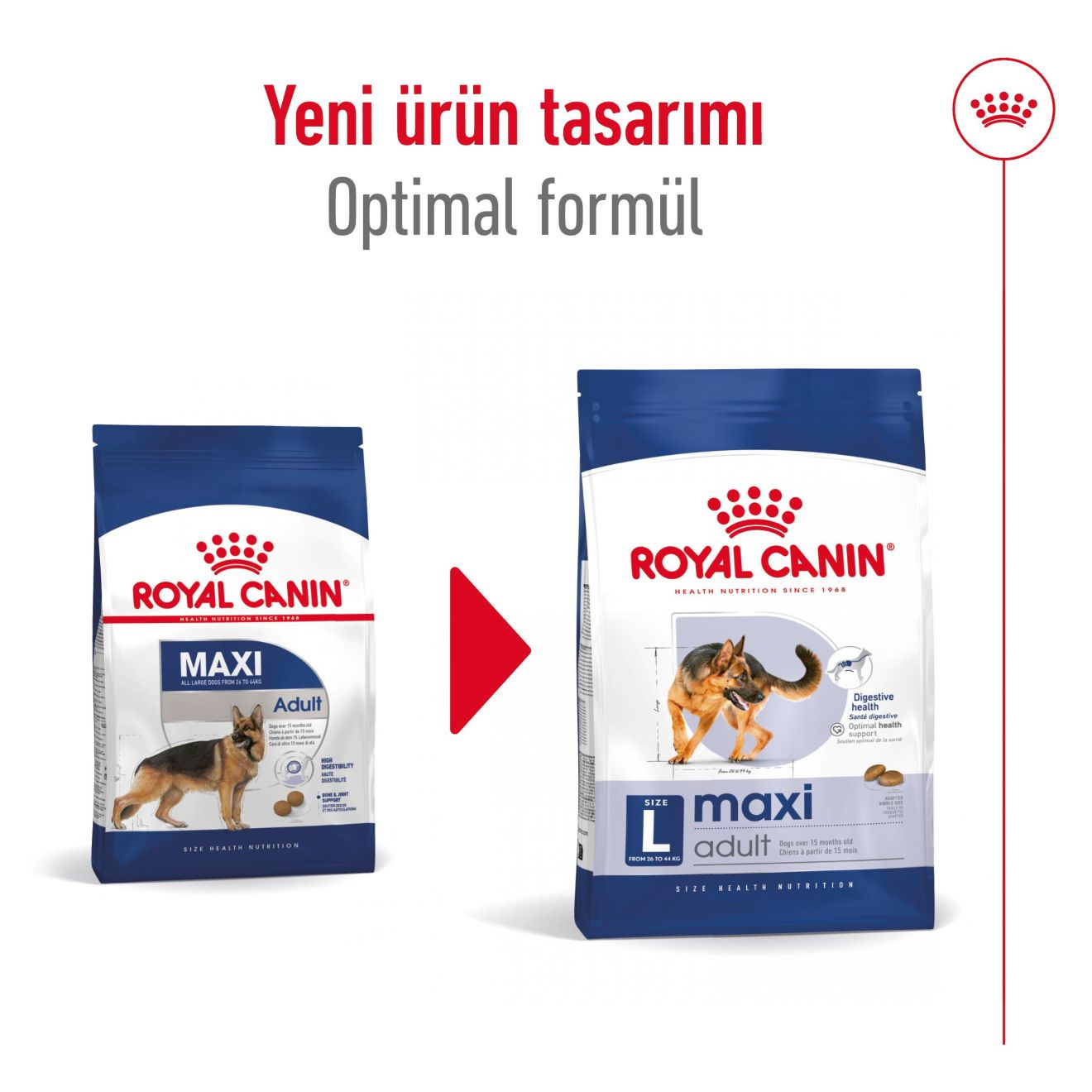 Maxi Adult Yetişkin Köpek Kuru Maması