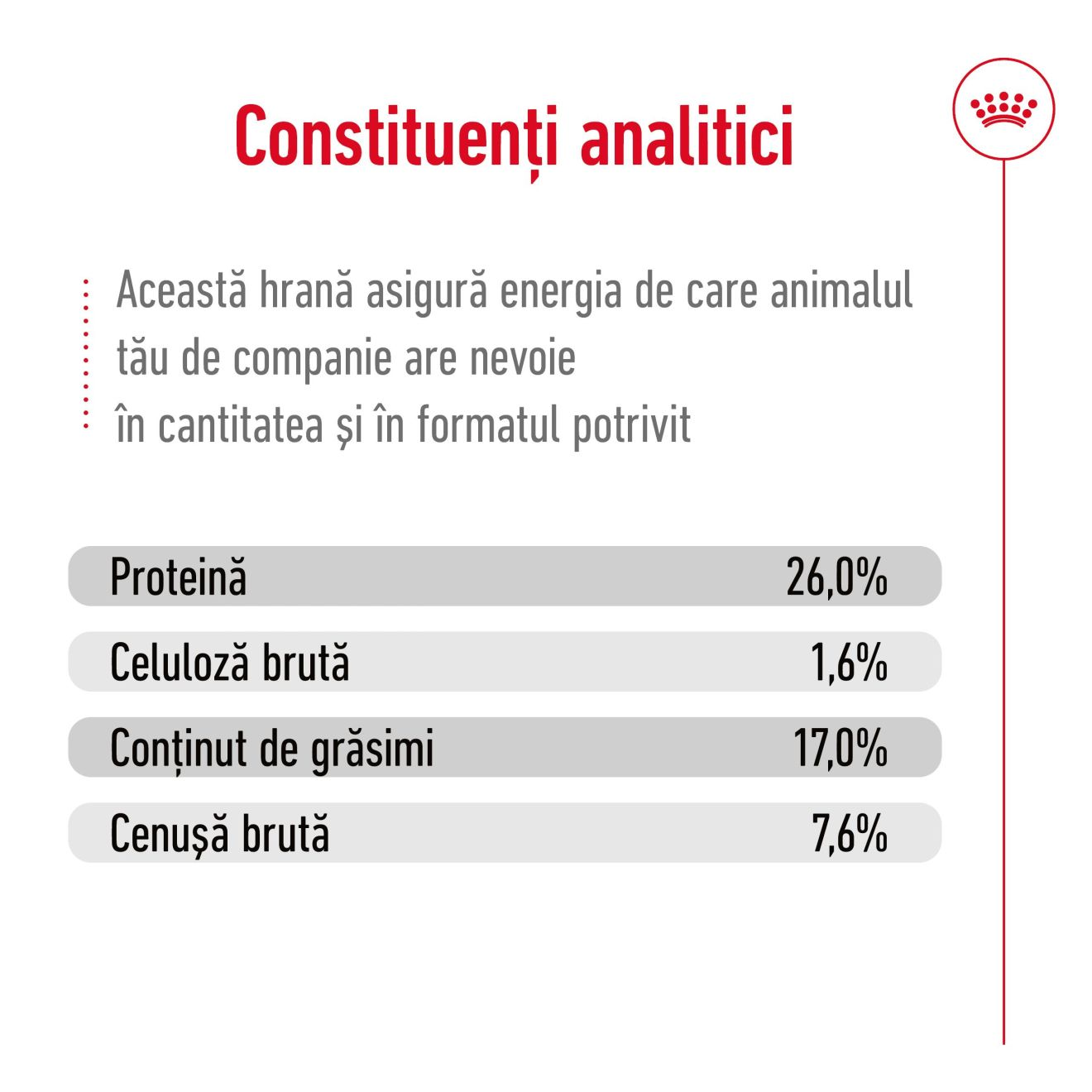 MAXI ADULT