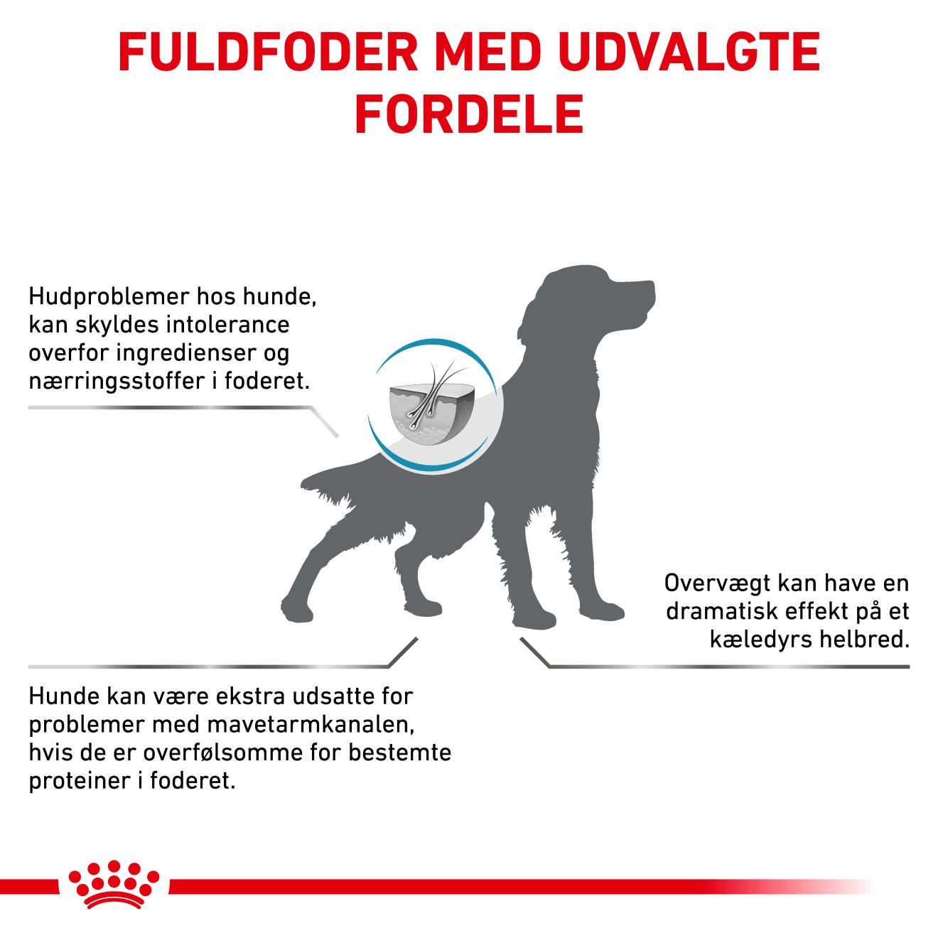 Derma Hypoallergenic Moderate Calorie