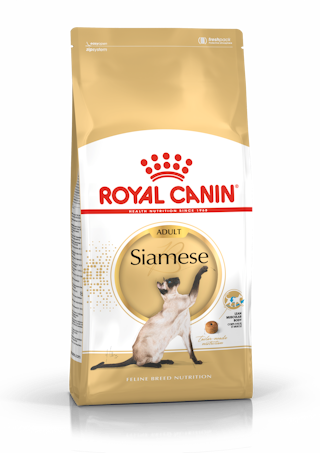 Royal Canin Siamese Adult kuivtoit