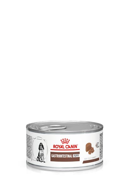 Royal canin gastrointestinal puppy cheap wet