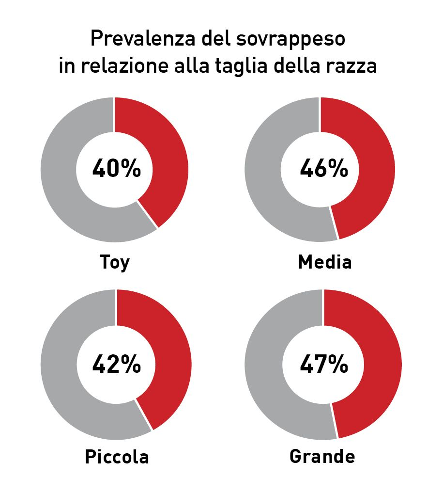 Prevalenza del sovrappeso in varie razze canine presso il Banfield Pet Hospital