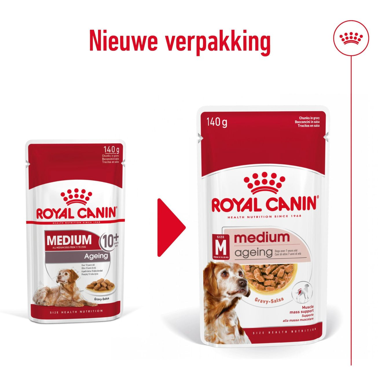 One dry food medium/max, > 10 kg, adult rich in beef for dogs