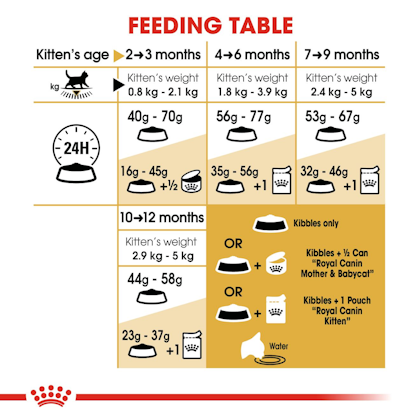 Royal canin kitten sales british shorthair 10kg