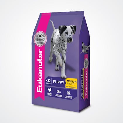 Eukanuba store puppy medium