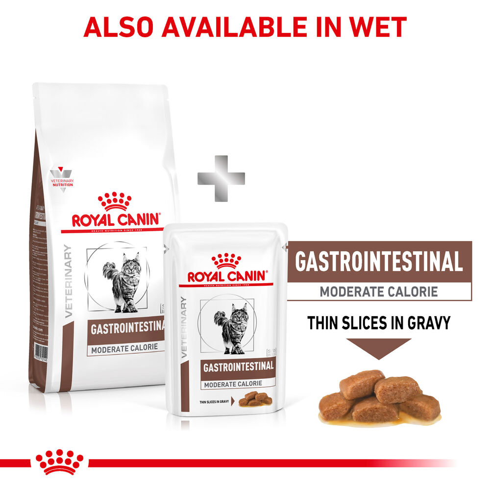 Gastrointestinal Moderate Calorie