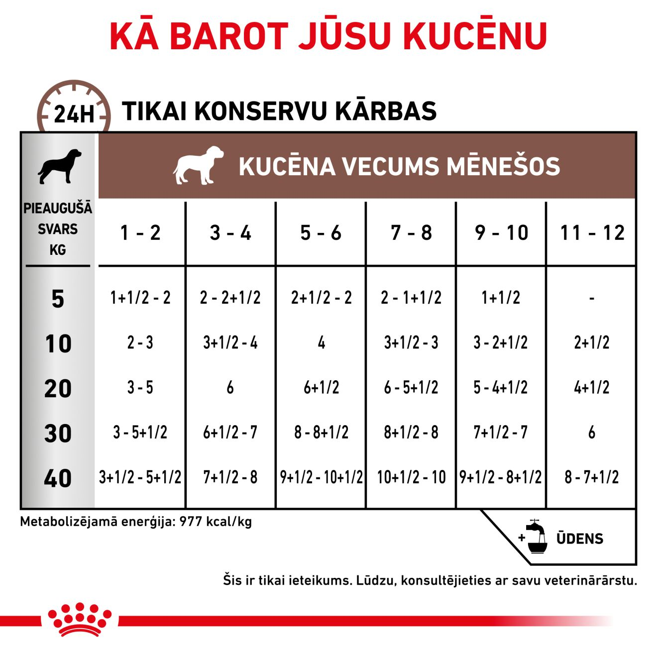 Gastrointestinal Puppy