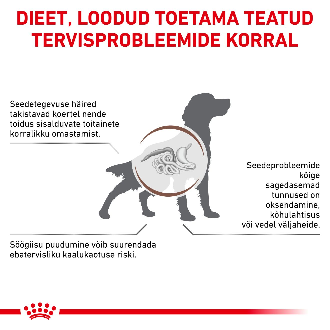Royal Canin Gastrointestinal Dog kuivtoit