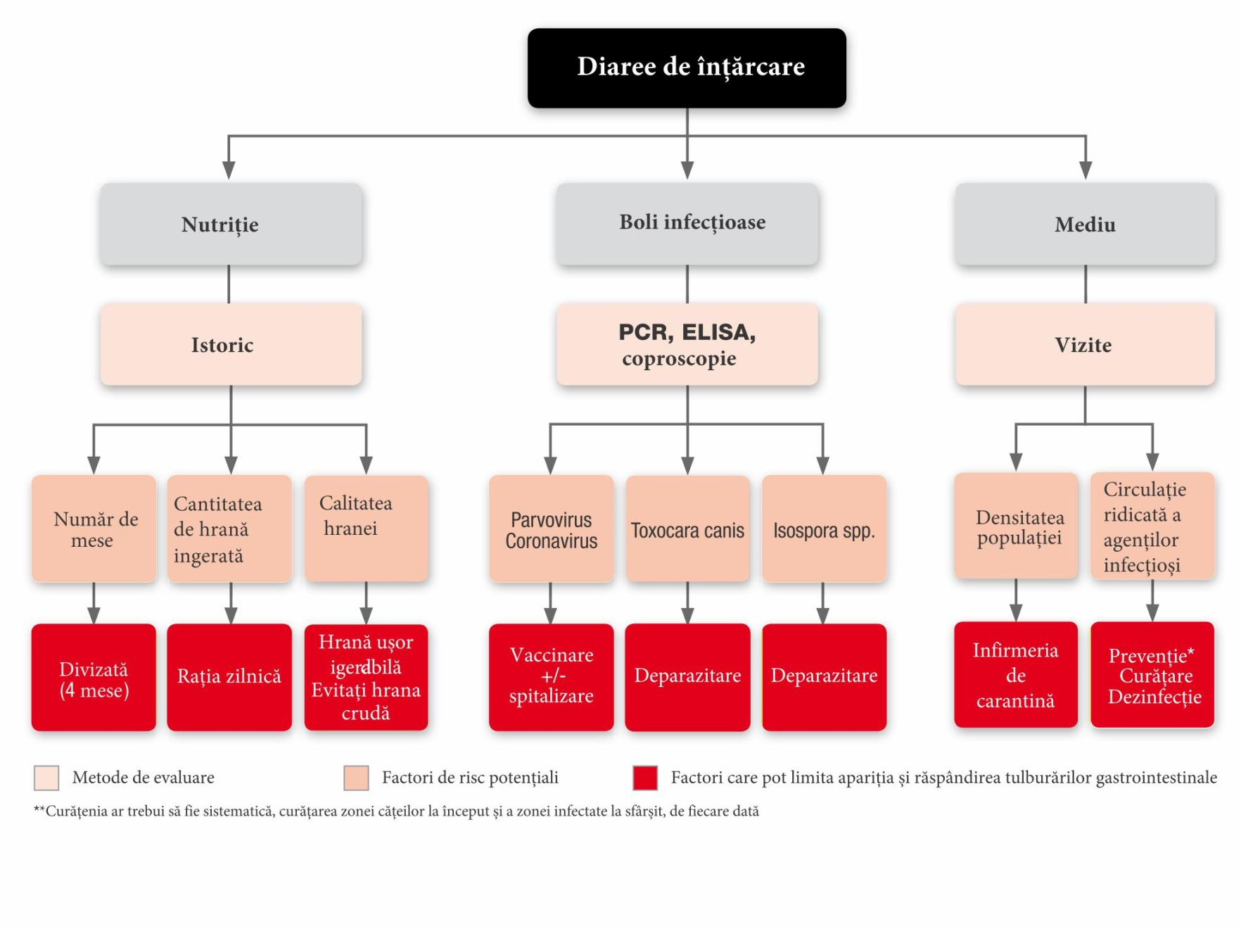Evaluarea și managementul diareii la căței