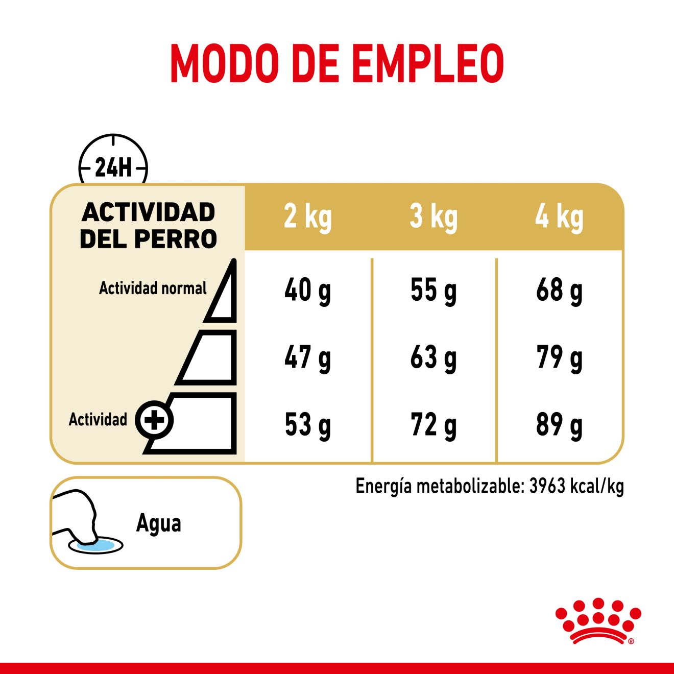 Yorkshire Terrier 8+