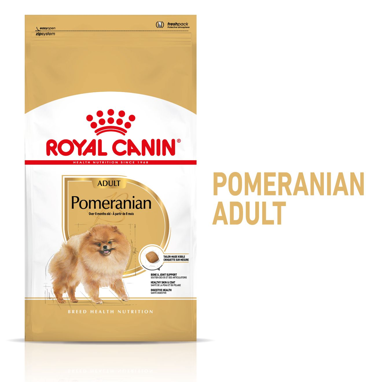 Pomeranian