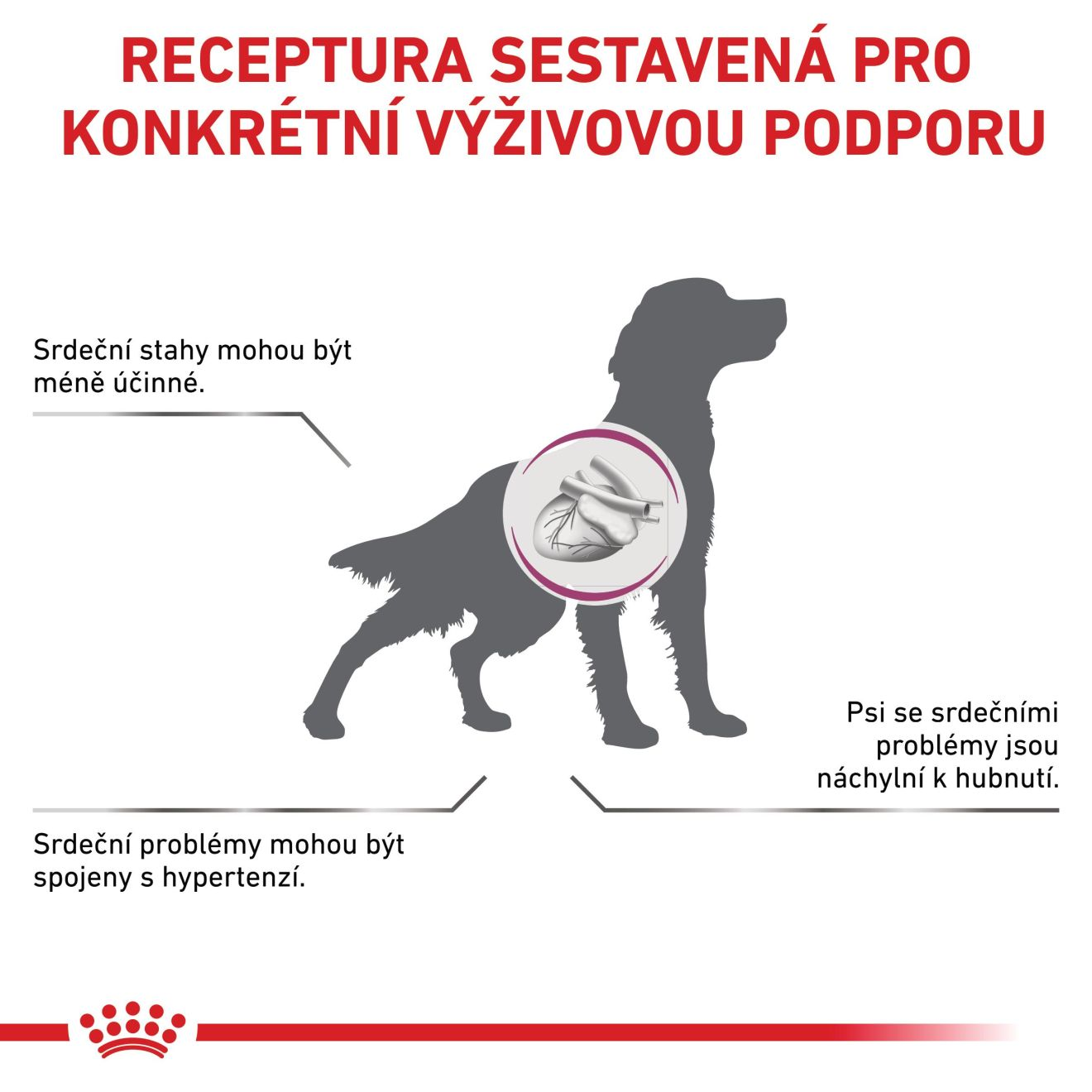 VHN Dog CARDIAC 