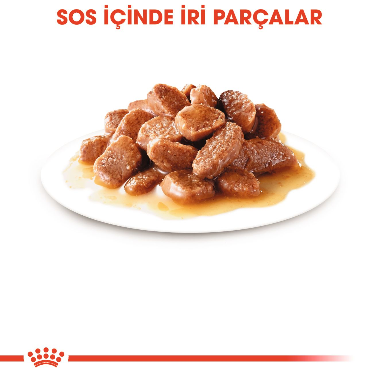 Hair & Skin Gravy Yetişkin Kedi Yaş Maması