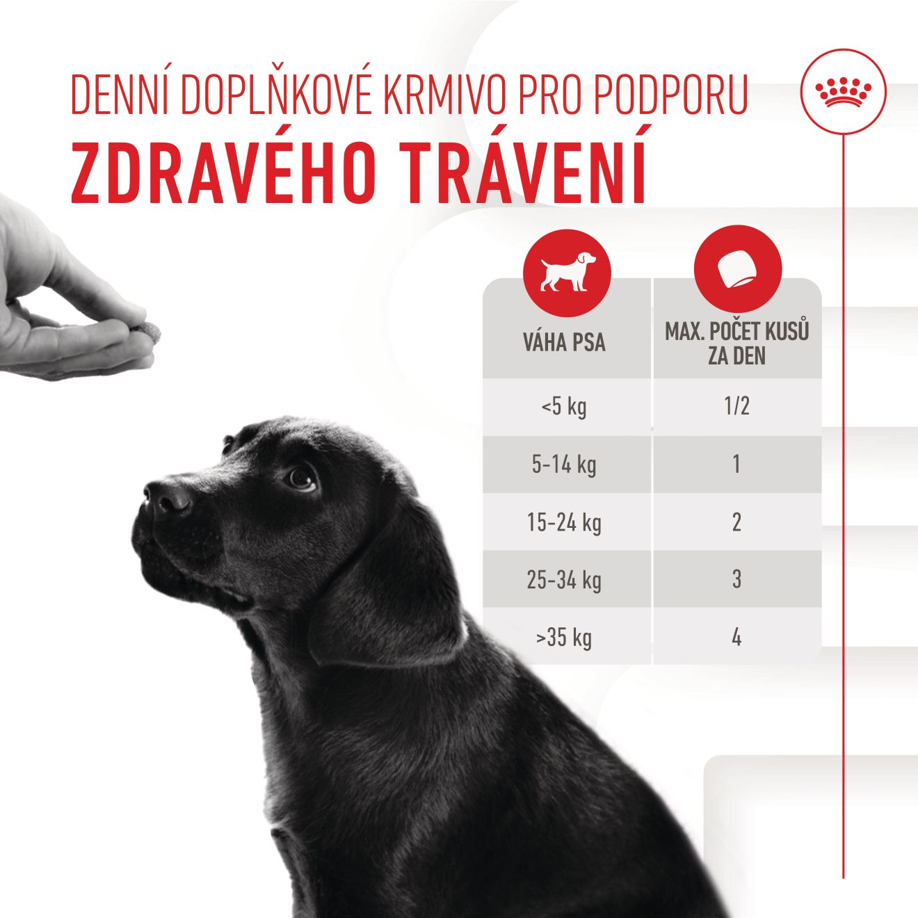 Supplement Dog Immuniity & Digestion Puppy chews 