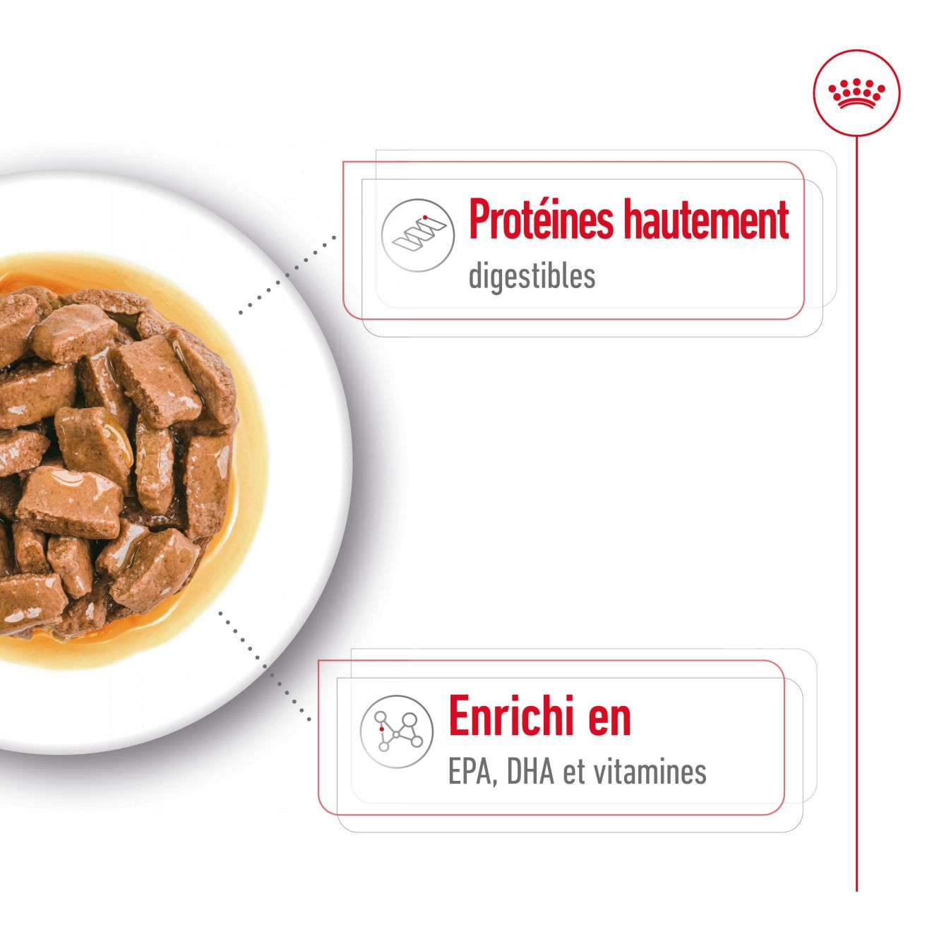 Maxi Ageing en sauce