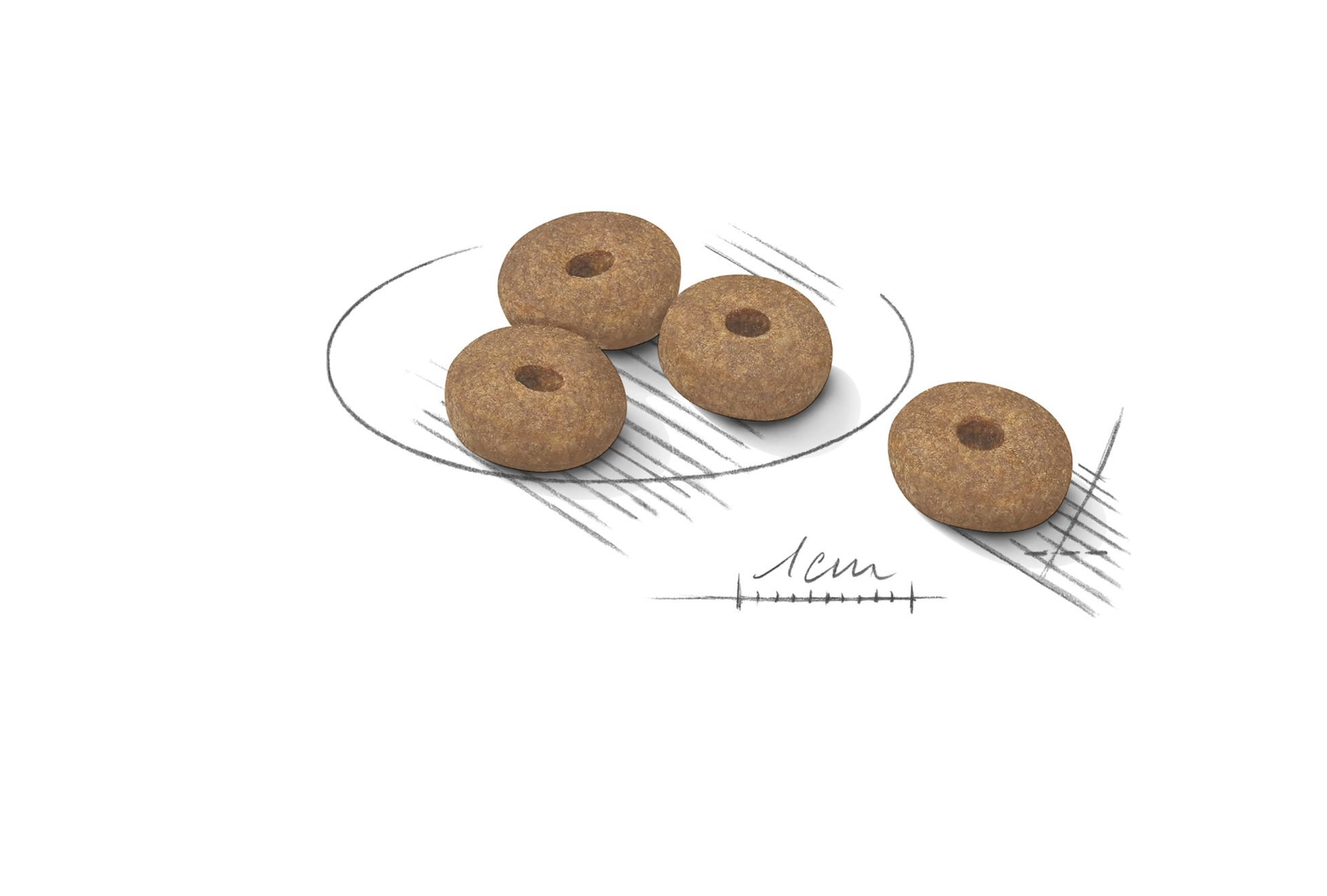 royal canin mini lightweight care