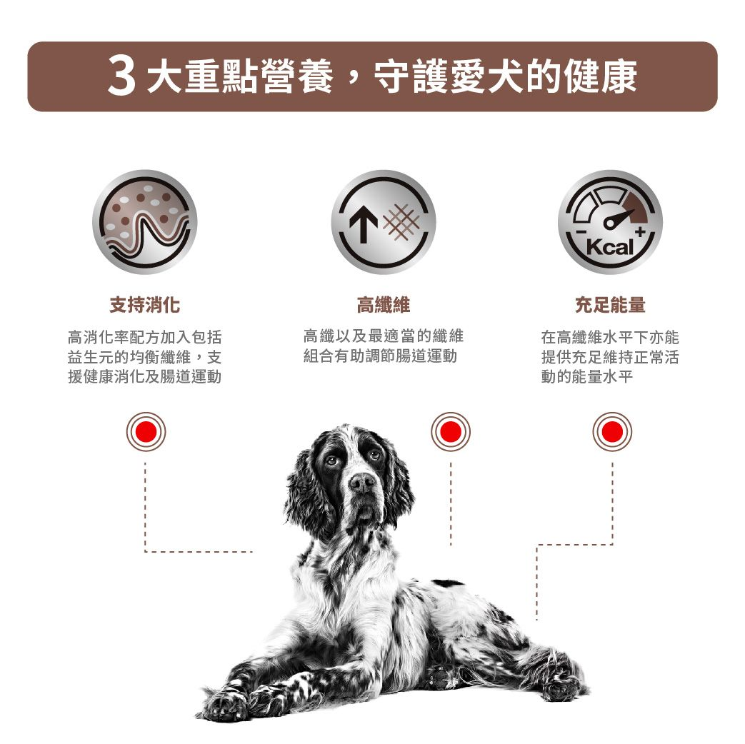 成犬腸胃高纖處方