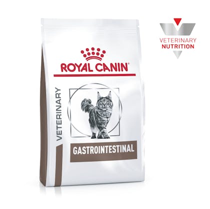 VHN GASTROINTESTINAL CAT COLOMBIA 1