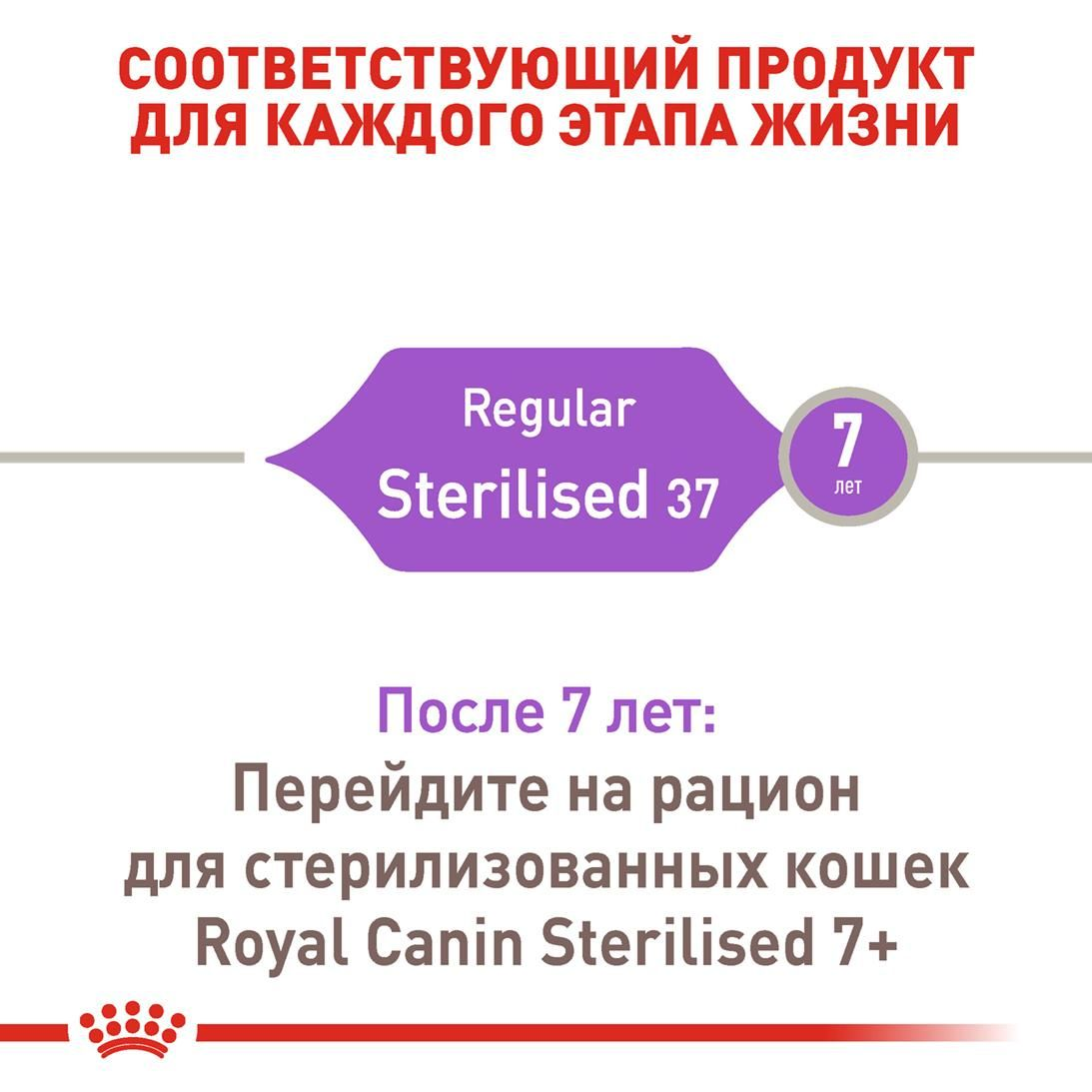 Sterilised 37
