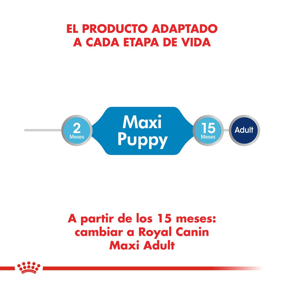 Maxi Puppy