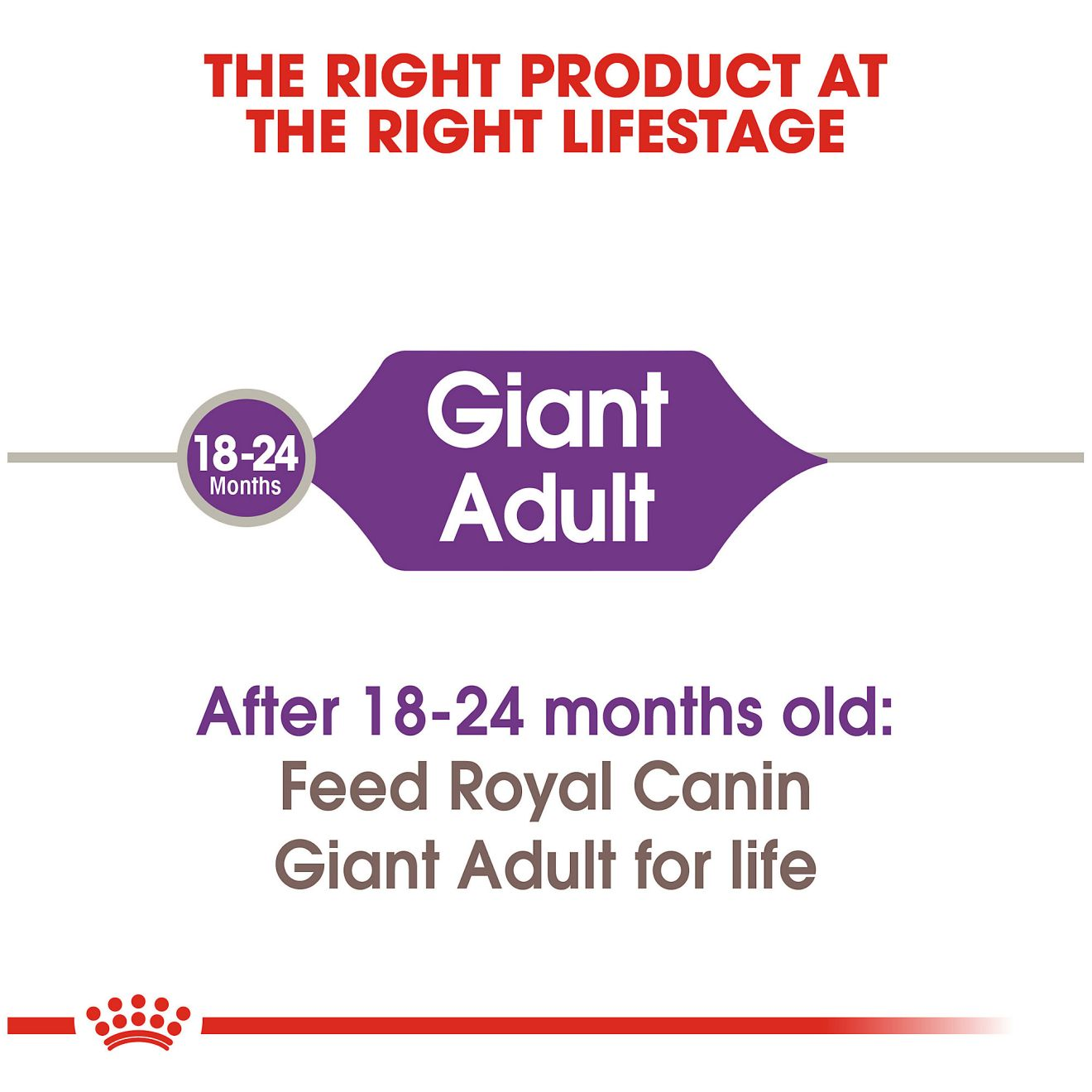 Giant Adult Dry 