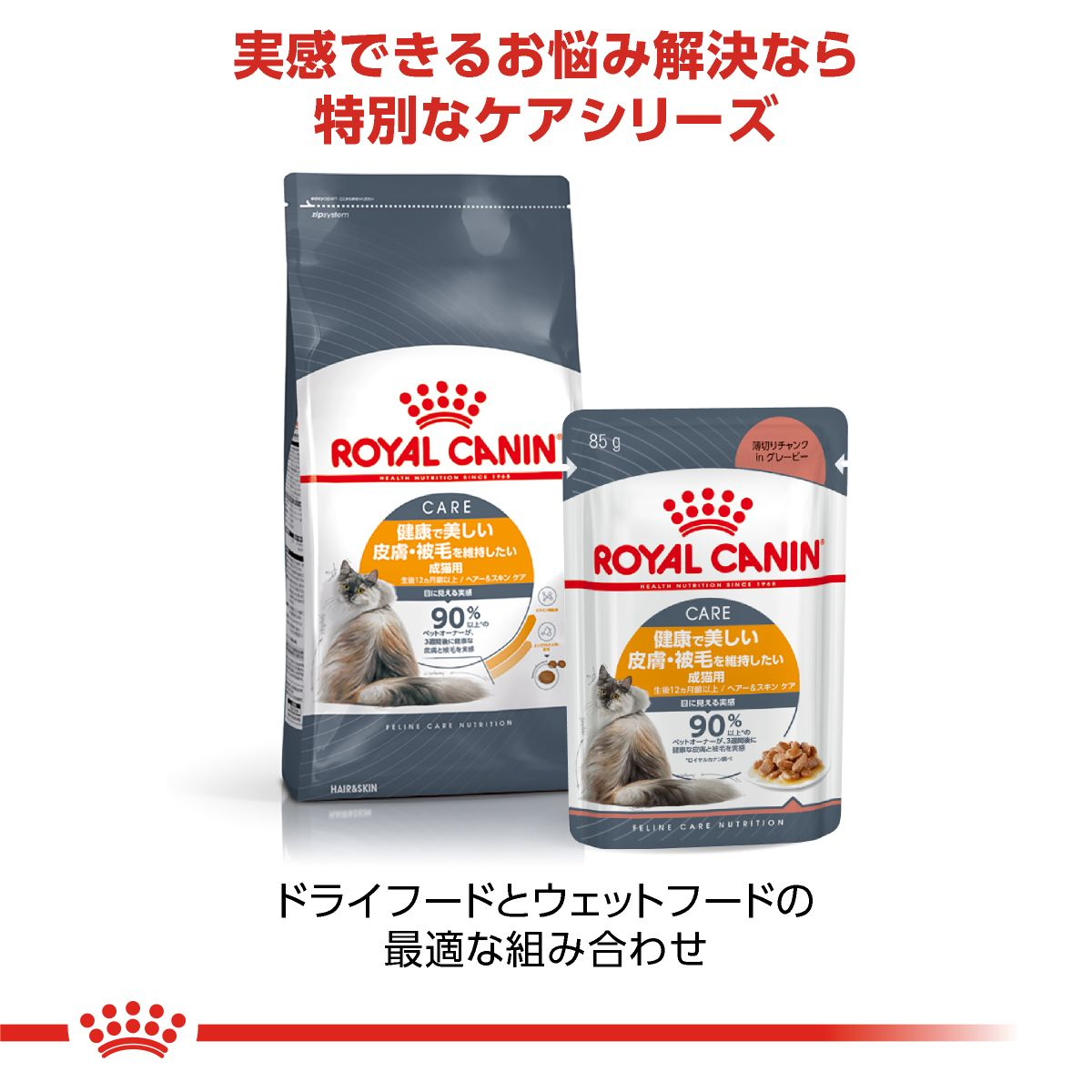 ヘアー＆スキン ケア（成猫用 ドライ） | Royal Canin JP