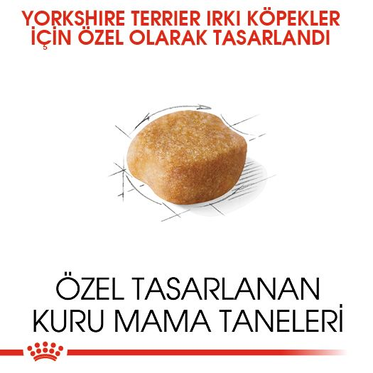 Yorkshire Terrier Adult Yetişkin Köpek Kuru Maması