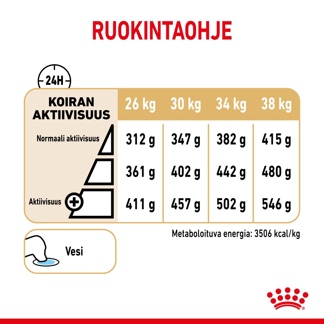 Labrador Retriever 5+