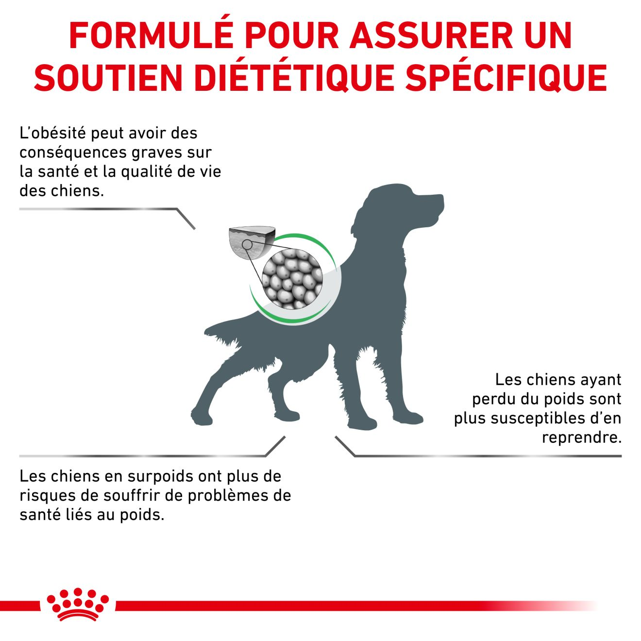 SATIETY WEIGHT MANAGEMENT pour chiens
