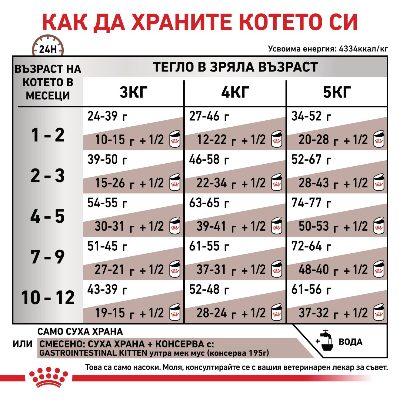 GASTROINTESTINAL KITTEN